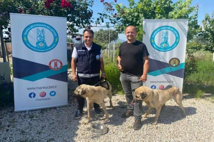Manisalı çiftçi iki can dost sahiplendi haberinin görseli