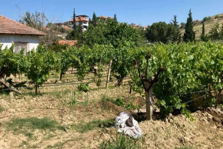 Yaşlı adam yanlışlıkla komşusunu vurdu haberinin görseli