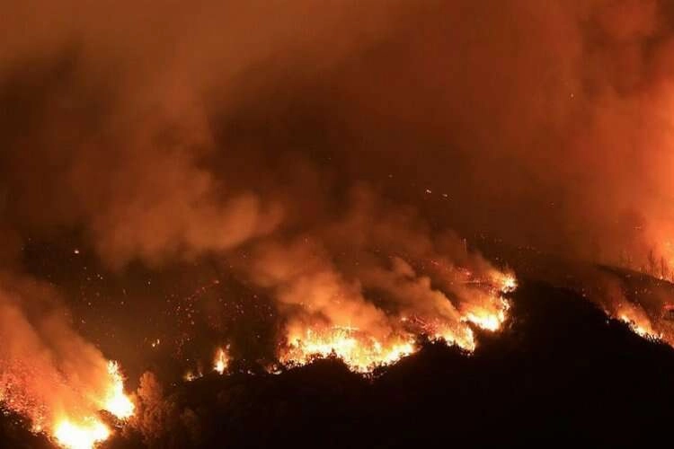 Kanada'da gökyüzünün rengi sarıya döndü haberinin görseli