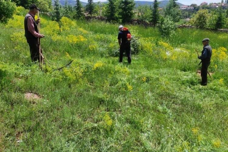 Karbasan köyünde gönüllüler mezarlıkları temizledi