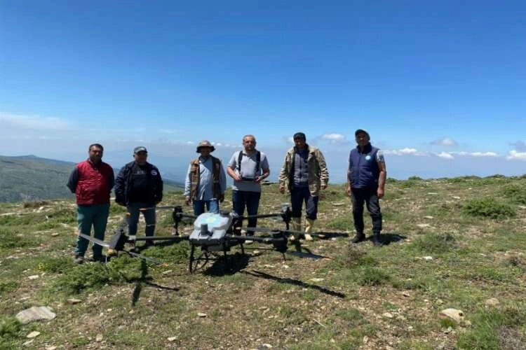 Tarla çekirgelerine dron ile savaş açtılar haberinin görseli