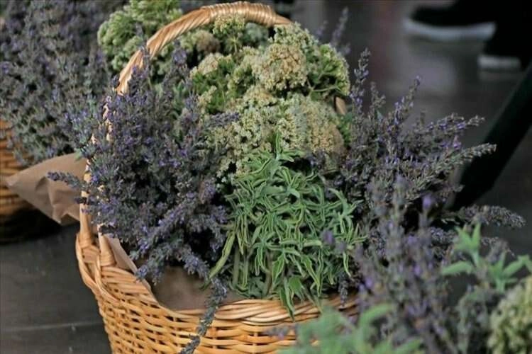 Tıbbi aromatik bitkilerle ilgili önemli uyarı! haberinin görseli