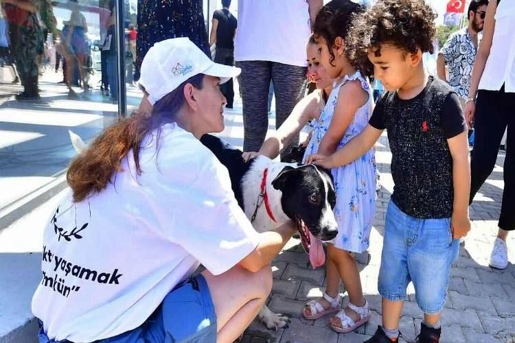 İzmirliler PAKOFEST’te patili dostlarla buluştu haberinin görseli