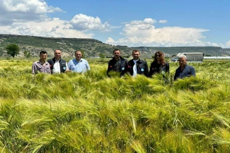 Manisa'da dağıtılan arpa ve buğday tohumları yüz güldürdü haberinin görseli