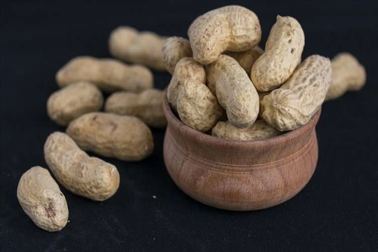 Yer fıstığı yaşlılıkta zihin sağlığını korumaya yardımcı haberinin görseli