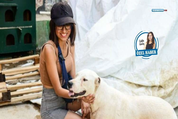 Soğanlı saldırgana para cezası: Can dostlara bağış olacak haberinin görseli