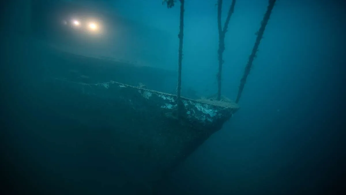 Karaburun&#039;un 30 metre derinliğindeki mavi hayat