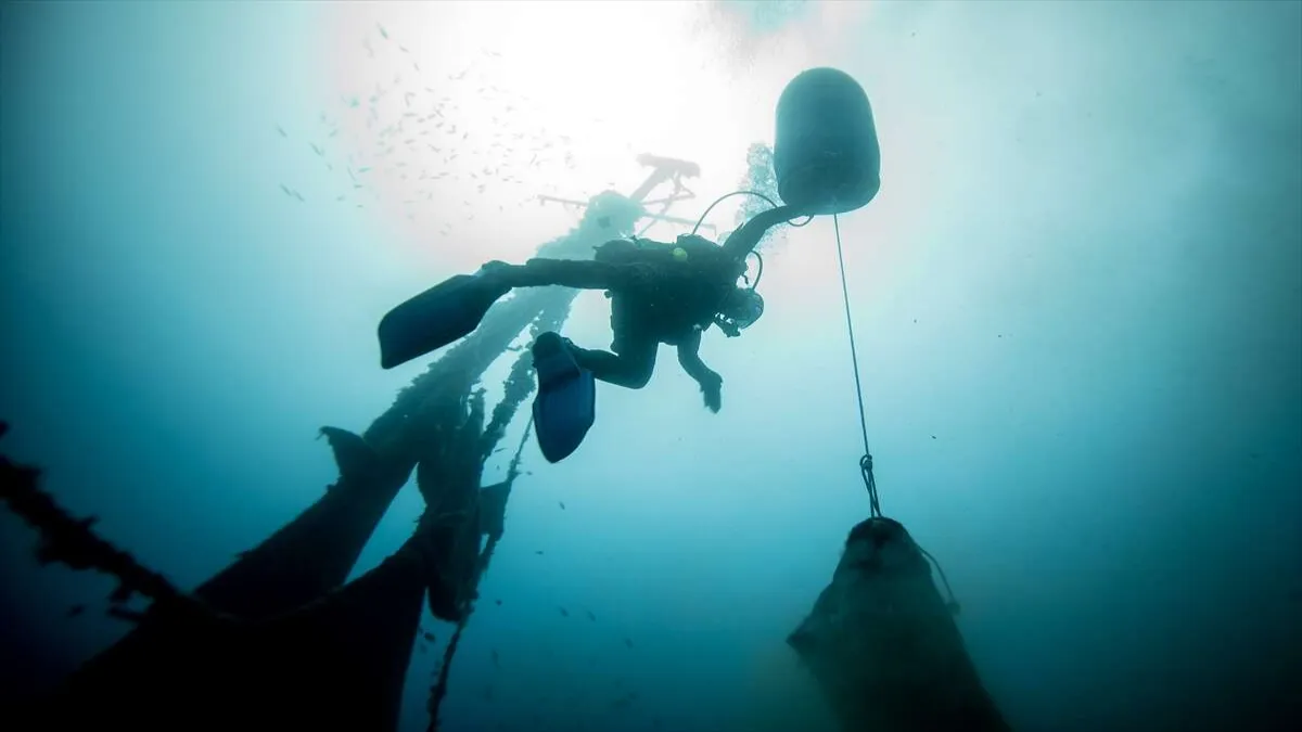 Karaburun&#039;un 30 metre derinliğindeki mavi hayat