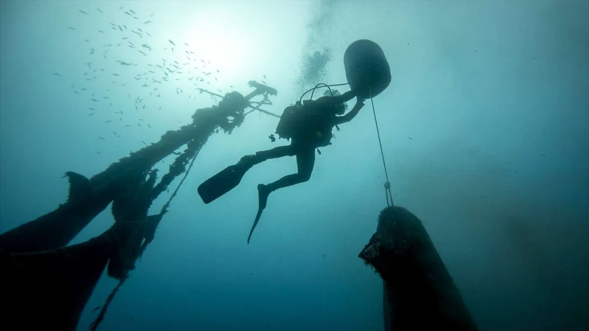 Karaburun'un 30 metre derinliğindeki mavi hayat - 752