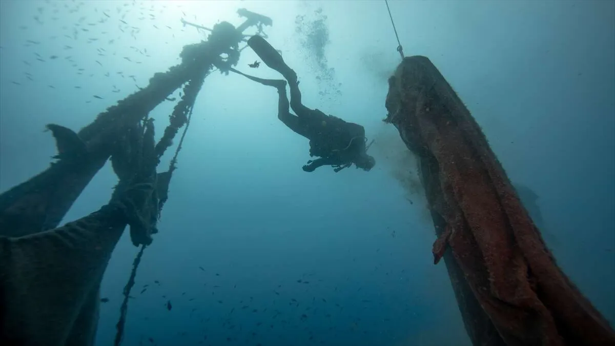 Karaburun&#039;un 30 metre derinliğindeki mavi hayat
