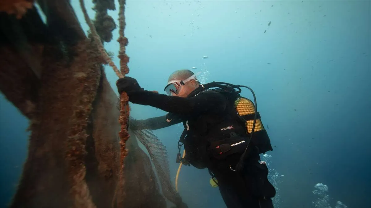 Karaburun&#039;un 30 metre derinliğindeki mavi hayat