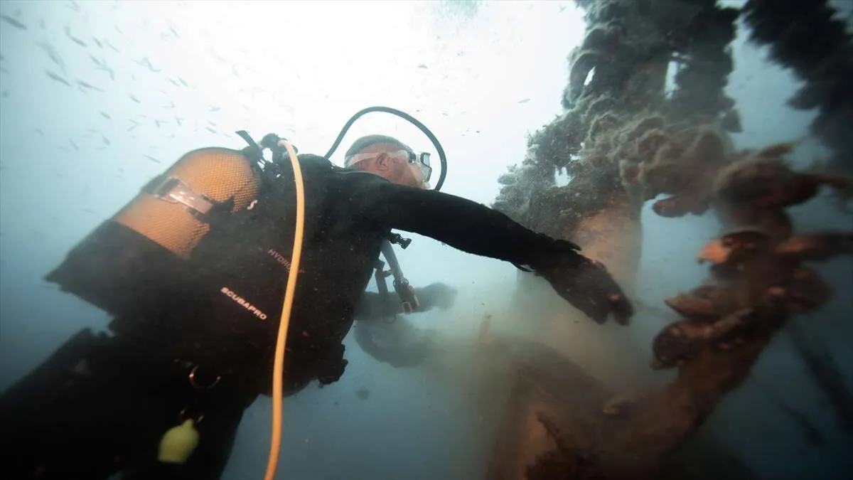 Karaburun&#039;un 30 metre derinliğindeki mavi hayat