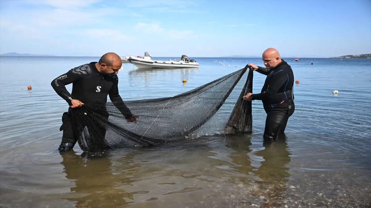 Karaburun&#039;un 30 metre derinliğindeki mavi hayat