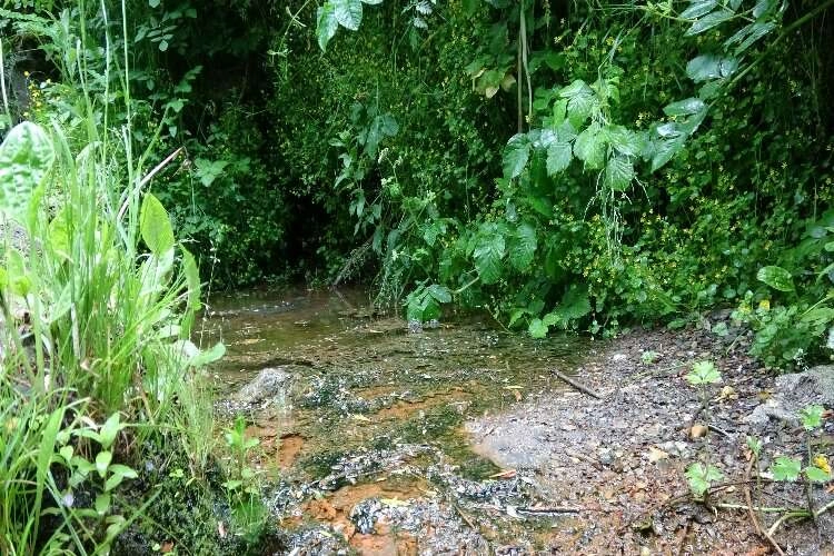 Sarılık hastalığına çare: Tokat'ta şifa deposu su haberinin görseli