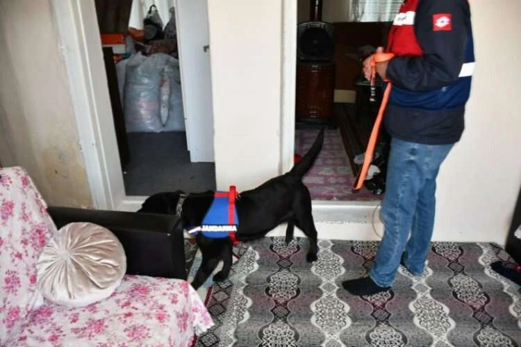 Manisa jandarmasından 5 ilde eş zamanlı operasyon haberinin görseli