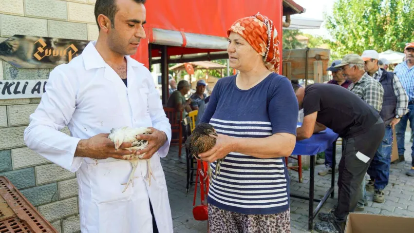 Köy Yumurtası üretim projesi1