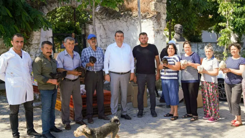 Köy Yumurtası üretim projesi6