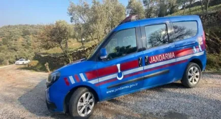 Kaybolan küçükbaş hayvanları jandarma buldu haberinin görseli