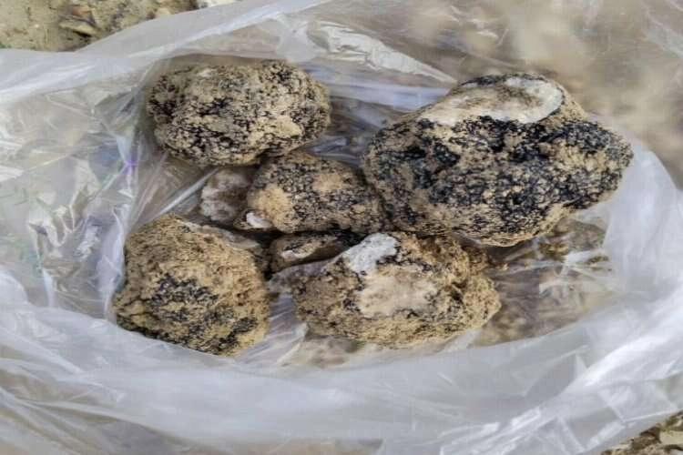 Denizli'nin dağlarından Kara Elmas fışkırıyor haberinin görseli