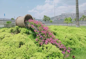 İzmir'de rengarenk bahar... Sokaklar çiçek açtı galerisinin önkapak görseli