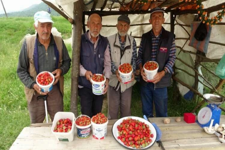 Demirciören çileği tezgahlardaki yerini aldı haberinin görseli