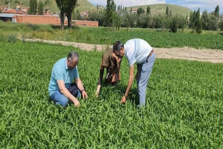 Afyonkarahisar'da çayır mera kontrolleri devam ediyor haberinin görseli