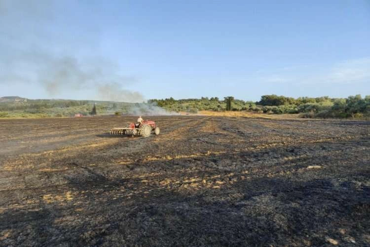 90 dönümlük buğday tarlasında yangın çıktı haberinin görseli