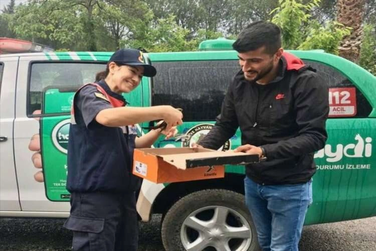 Muğla'da uçamayan kuş tedaviye alındı haberinin görseli