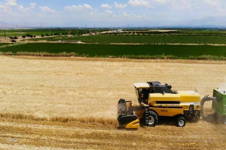 Malatya’nın ‘Çukurovası’nda hububat bolluğu haberinin görseli
