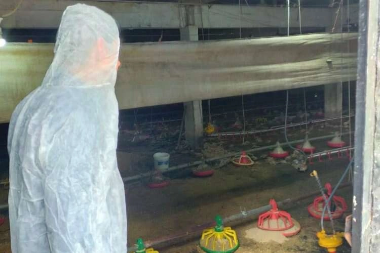 Selden zarar gören tavuk işletmesinde hasar tespiti haberinin görseli