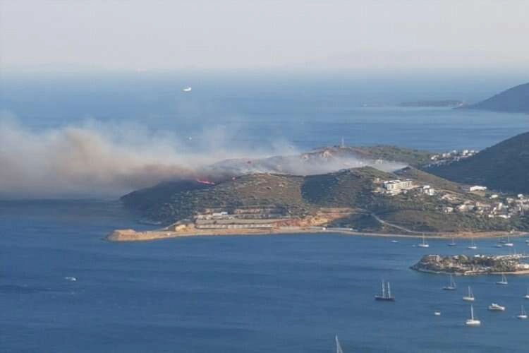 Bodrum’da makilik alanda korkutan yangın!