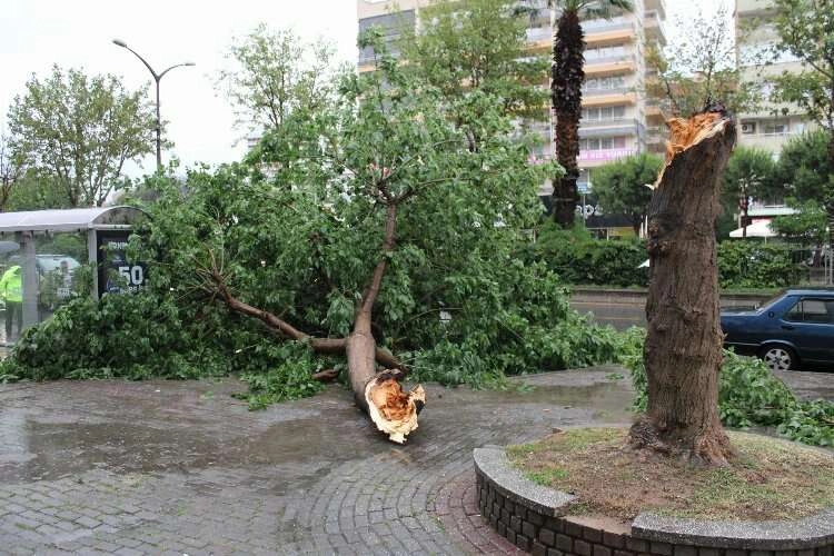 Aydın’da yağış hayatın olumsuz etkiledi haberinin görseli