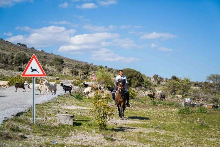 İzmir'de üreticiye büyük destek! Gençler doğaya dönüyor haberinin görseli