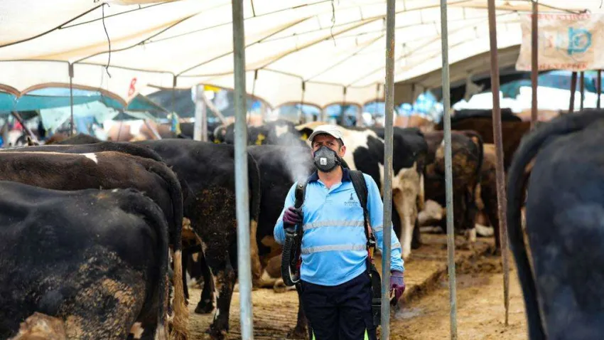 bayraklı belediyesi kurban bayramı hazırlıkları