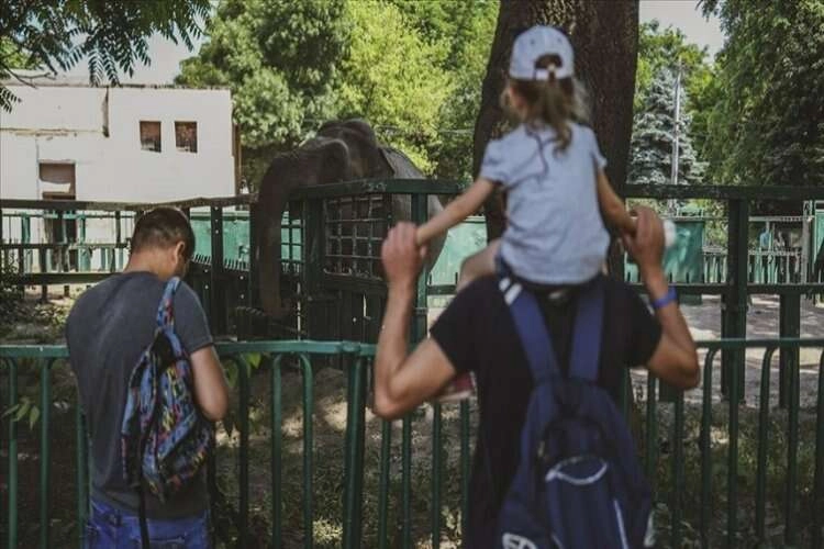 Ukrayna'da Babalar Günü savaş gölgesinde kutlandı haberinin görseli