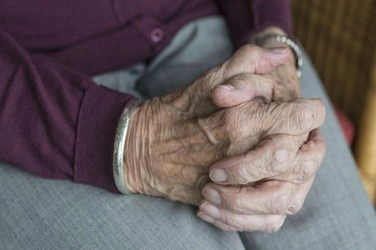 Bağırsak bakterileri Alzheimer'ın habercisi olabilir haberinin görseli