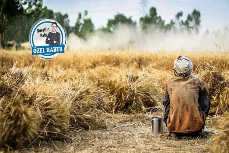 Köyler boşalıyor şehirler kirleniyor haberinin görseli