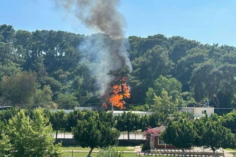 Antalya’da korkutan yangın! Müdahale sürüyor haberinin görseli