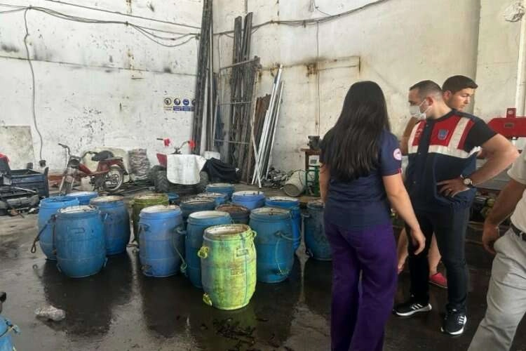 Aliağa'da 900 kg deniz patlıcanı bulundu haberinin görseli