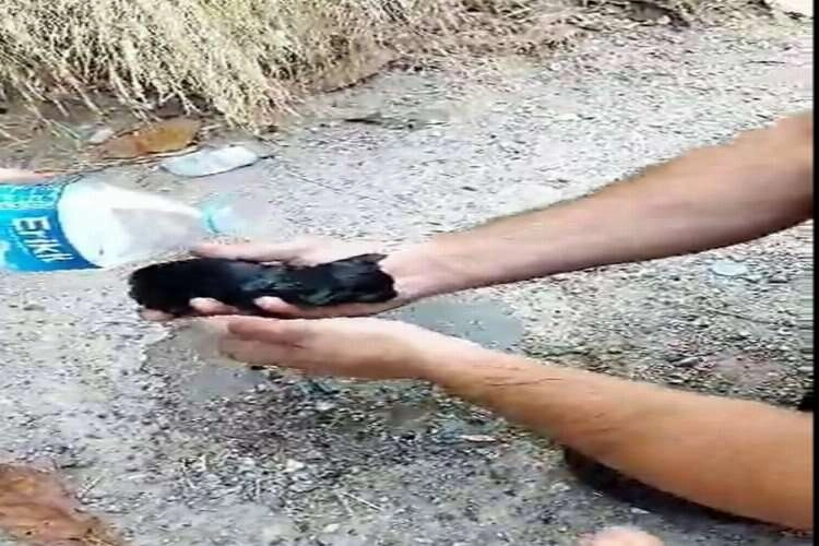 Muğla'da çıkan yangından sağ salim kurtarıldı haberinin görseli