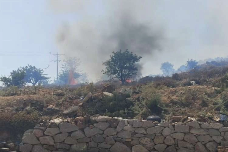 Muğla'daki yangına havadan ve karadan müdahale haberinin görseli