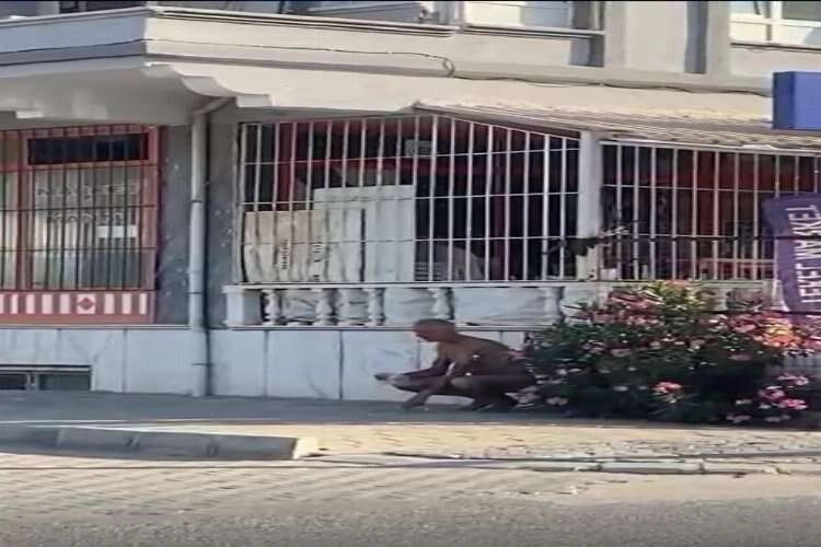 Aydın'da film gibi olay: Sokakta çıplak koştu haberinin görseli