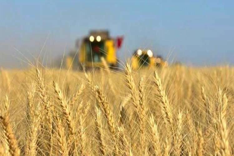 İzmir Kınık’ta Tarım İhtisas OSB hayata geçiyor haberinin görseli