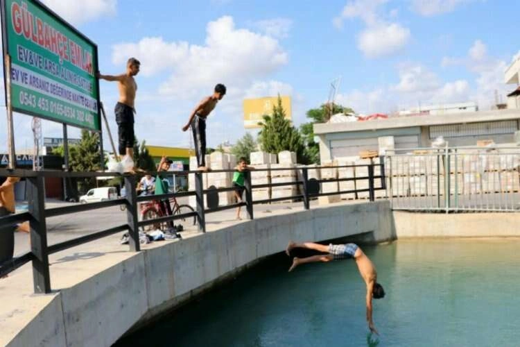 Sıcaklar arttı tehlike başladı! Kanalda yüzüp güneşlendiler haberinin görseli