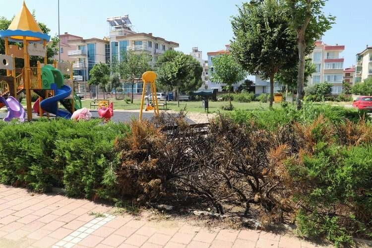 Ödemiş'te bulunan park, şehir magandalarının gazabına uğradı haberinin görseli