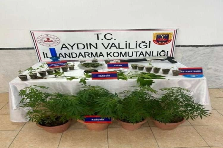 Aydın'da saksılarda uyuşturucu ticareti haberinin görseli