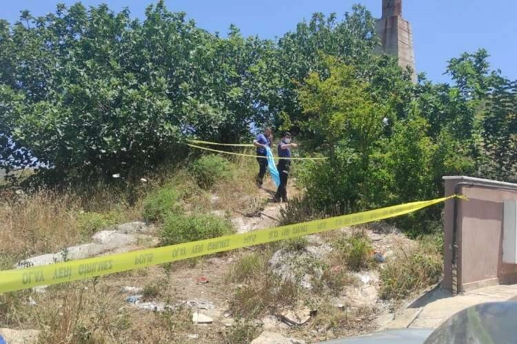 Cesedi ağaçların arasında bulunmuştu: Kardeşi öldürmüş haberinin görseli