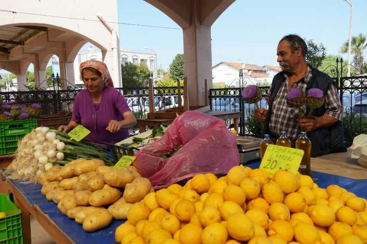 Çeşme'de Tarla’dan Sofra’ya Üretici Pazarı açıldı haberinin görseli