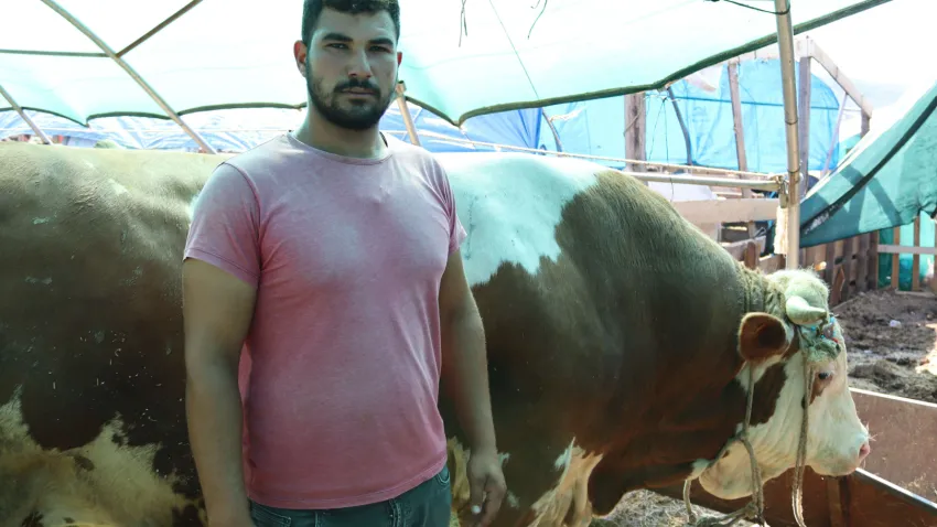hayvan satıcısı