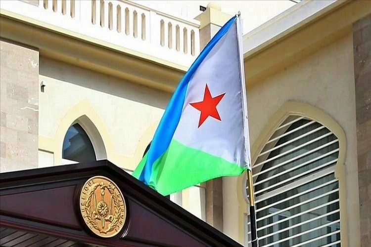TÜİK, Cibuti'ye teknik destek sağlayacak haberinin görseli